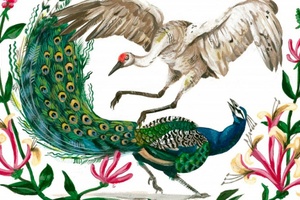Thumb the peacock and the crane 800x445